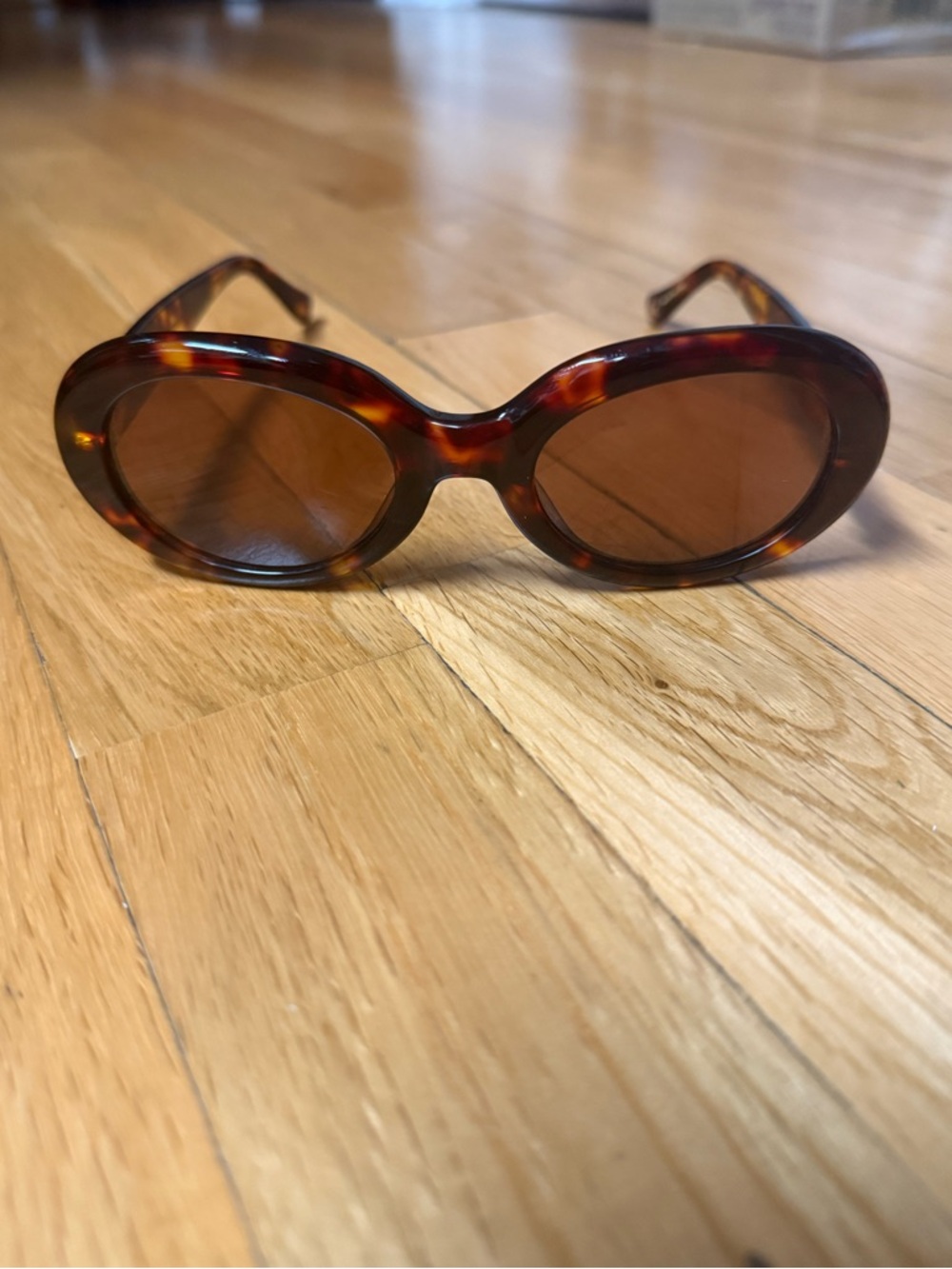 NWOT Madewell Valoma Chunky Oval Sunglasses with Brown Lenses